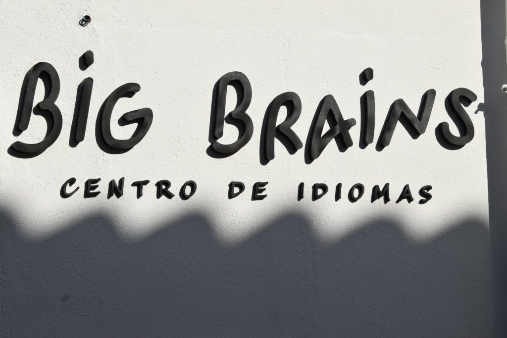 logo bigbrains
